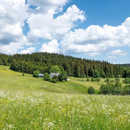 דירה Sommerruhe Im Jostal