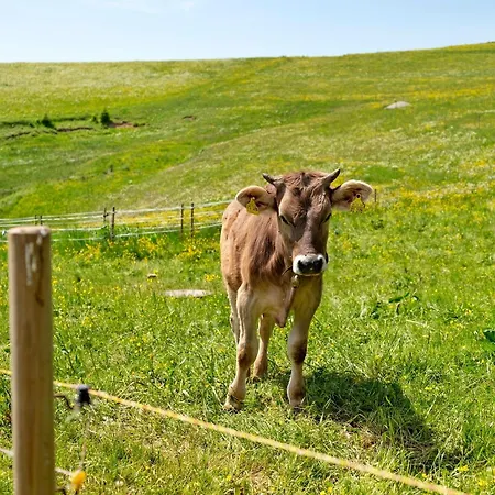 דירה Sommerruhe Im Jostal